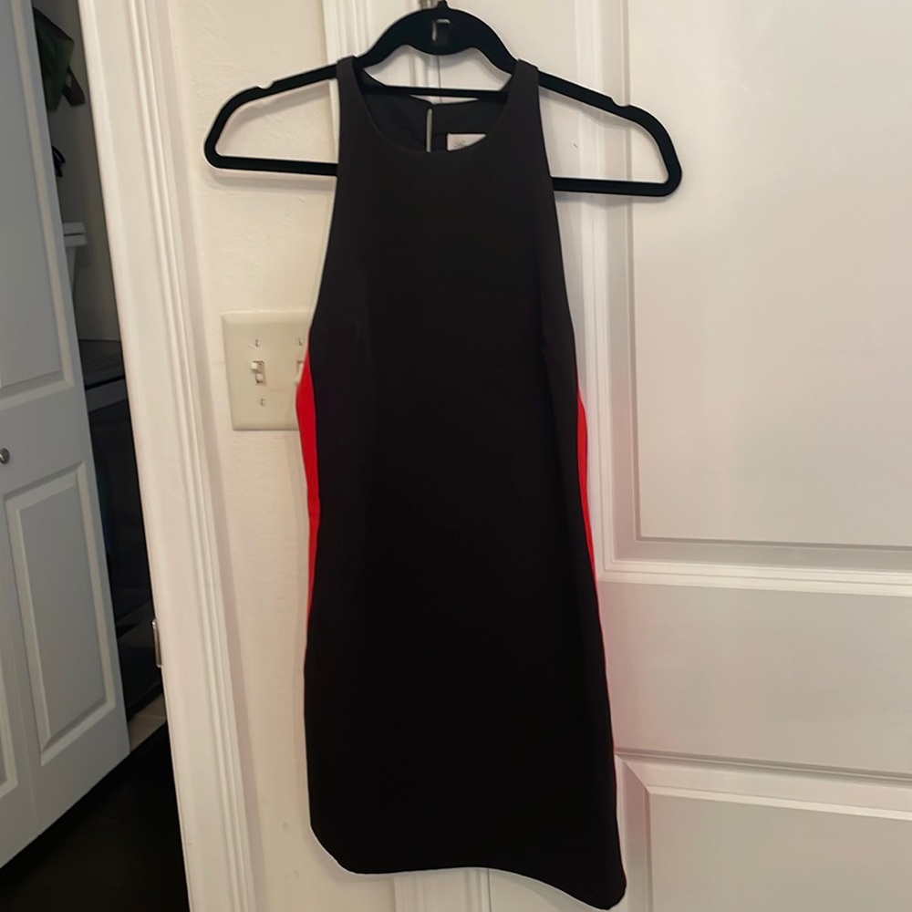 Lover and Friends Mini Dress